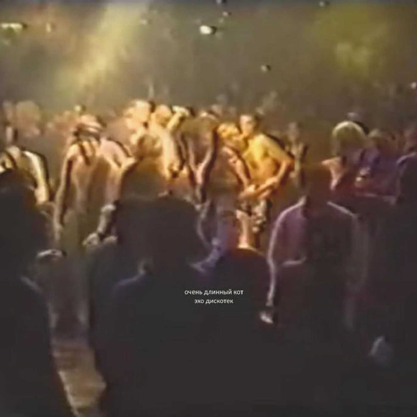 Очень Длинный Кот