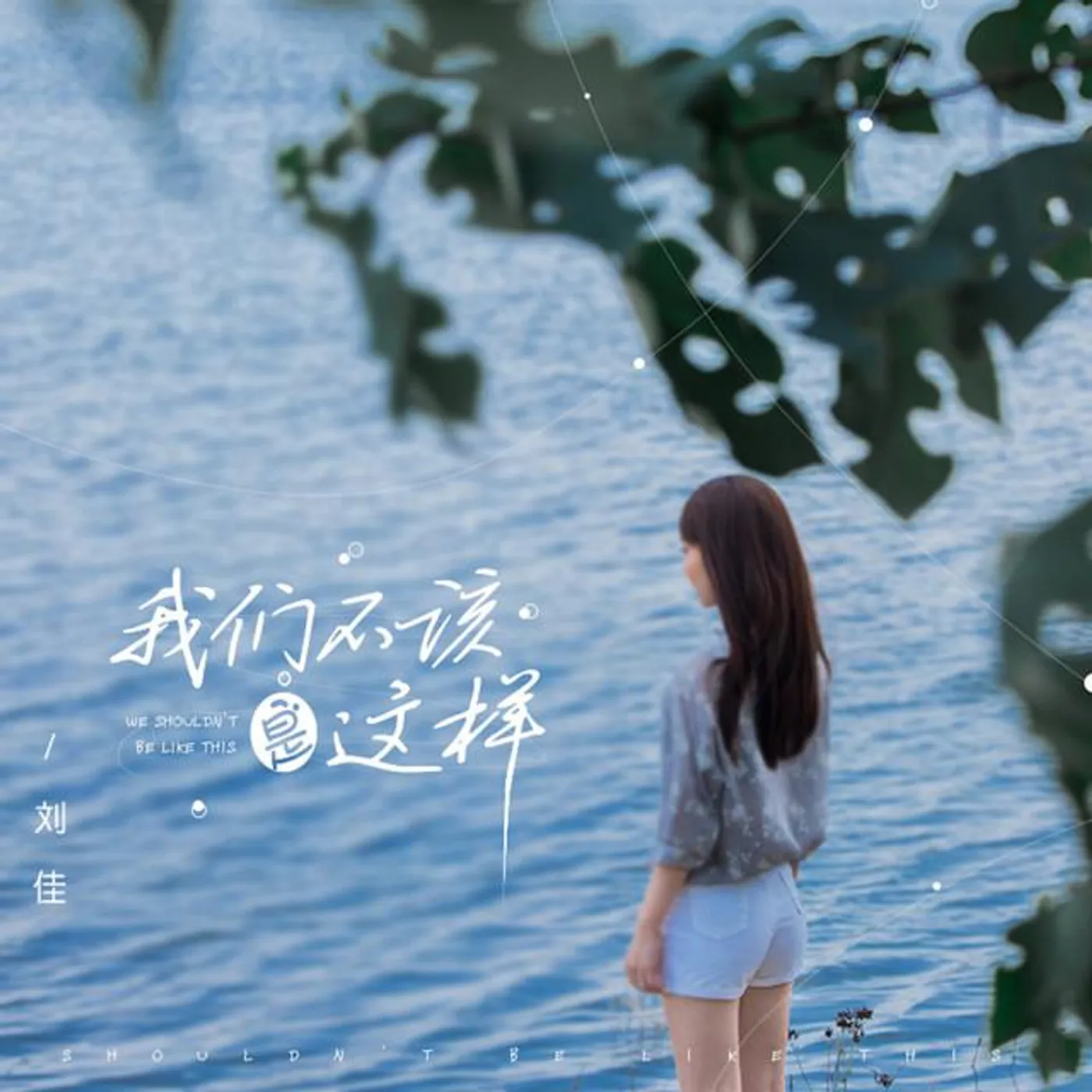 劉佳