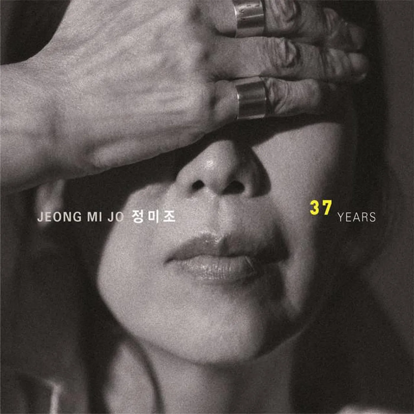 정미조