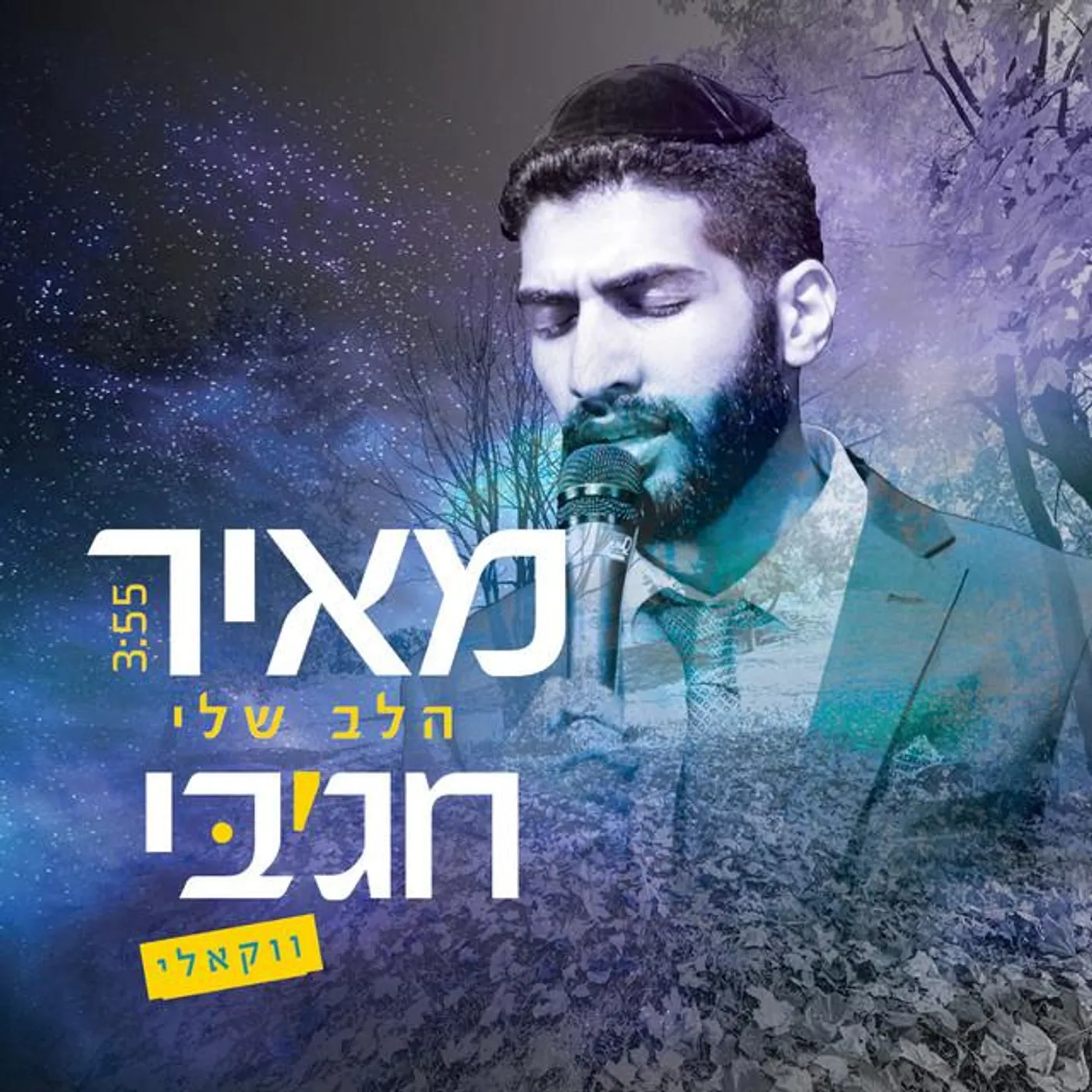 מאיר חג'בי