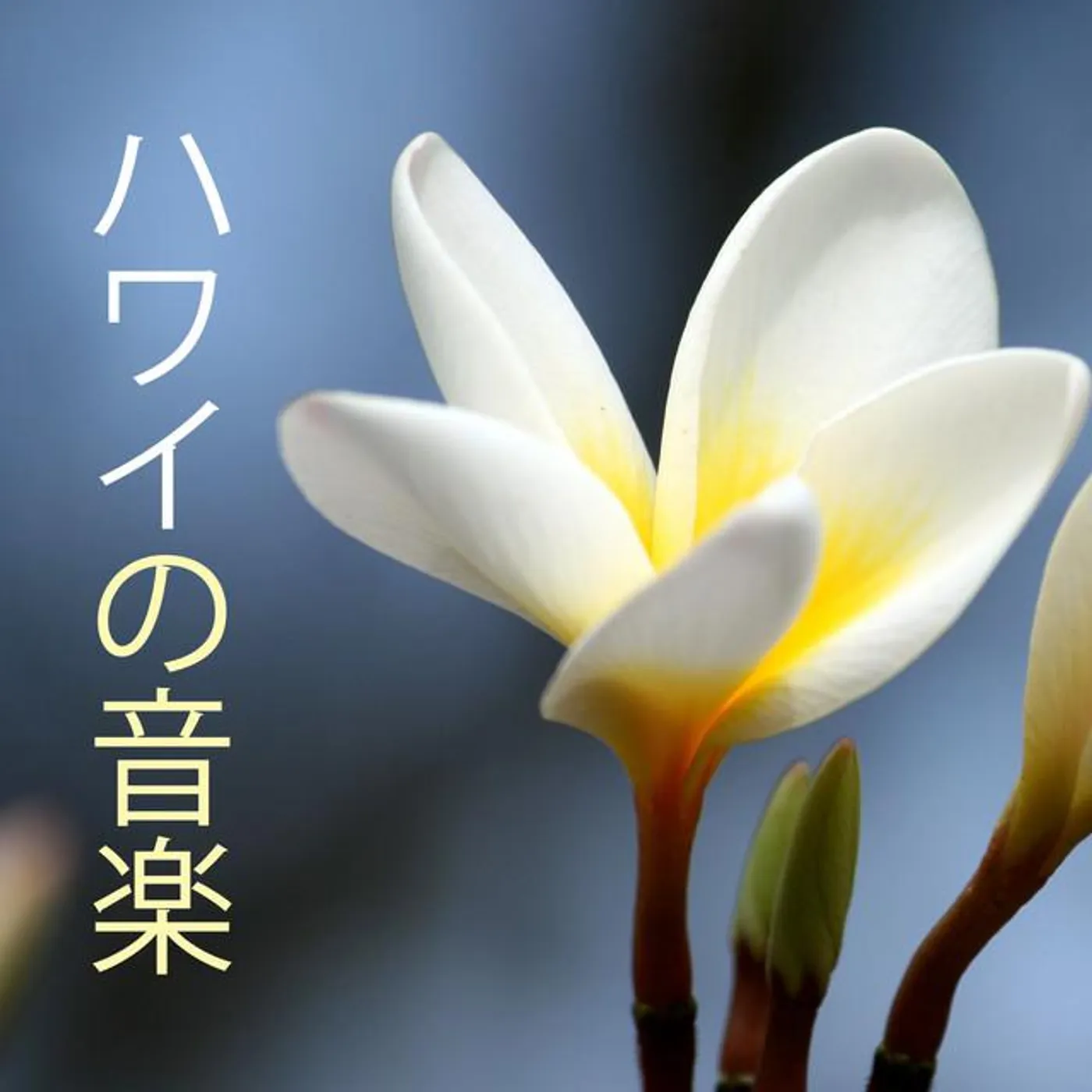 ハワイ島