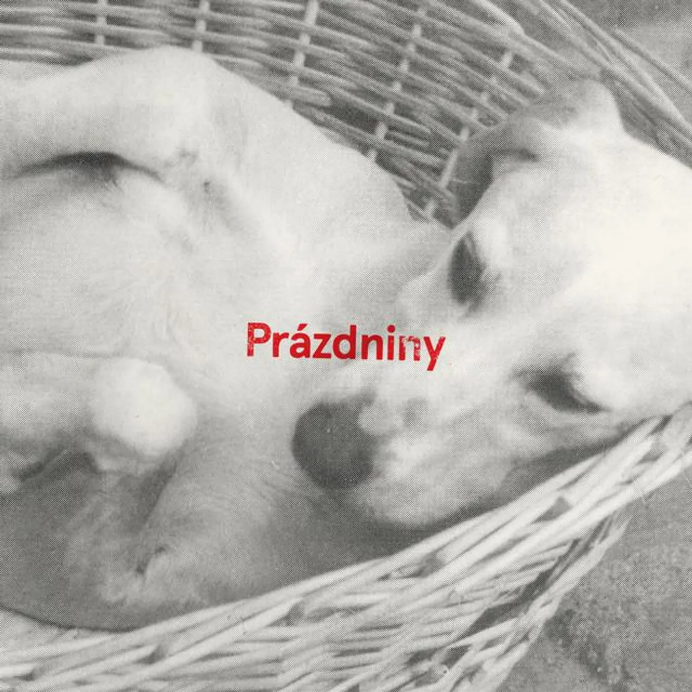 Děti mezi reprákama