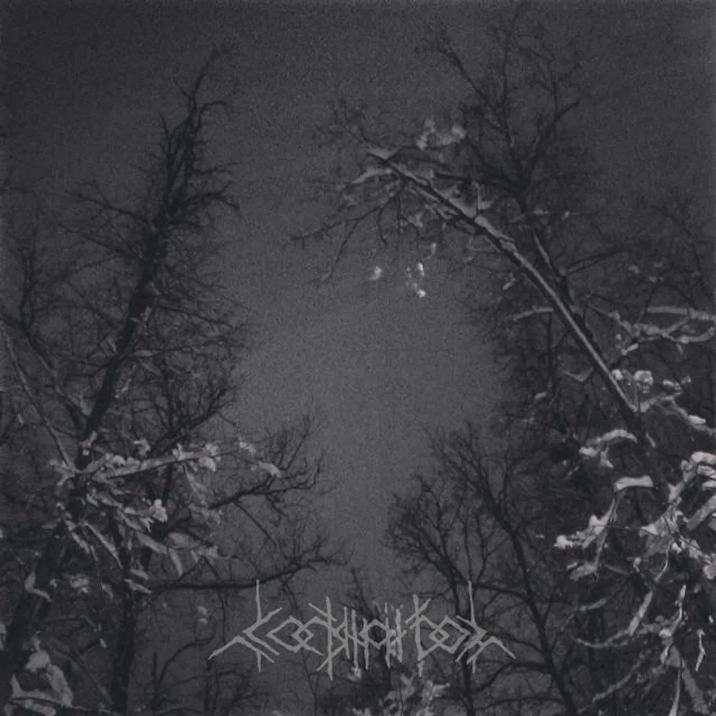 Костяной дом