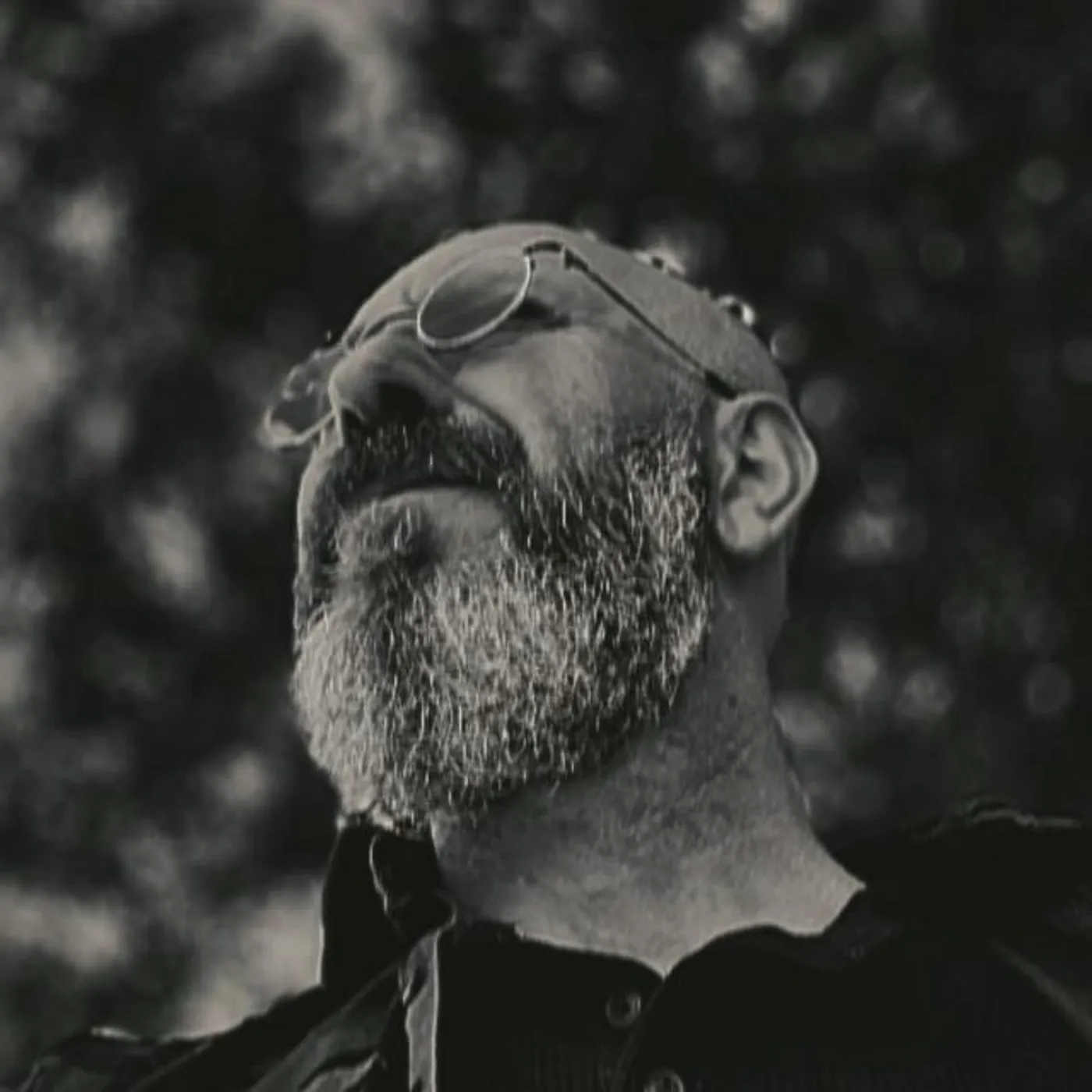 Yüksel Baltacı