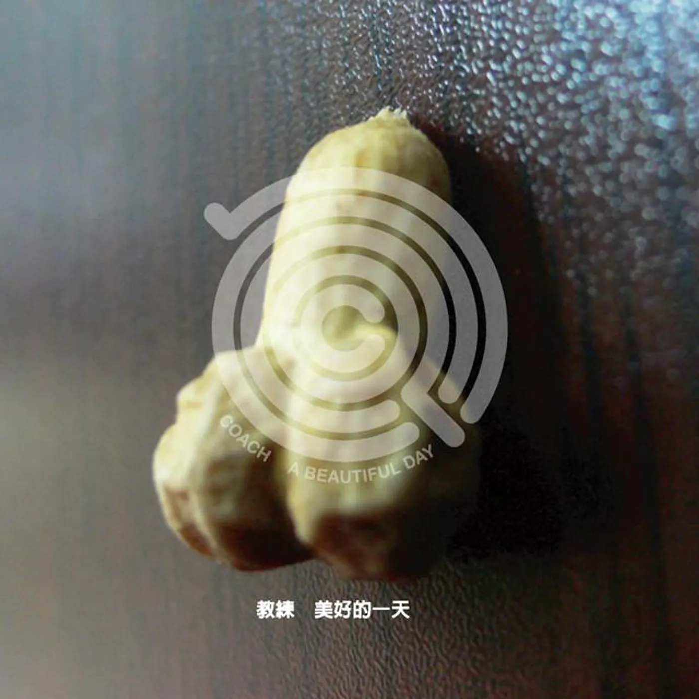 教練樂團 Brand Page