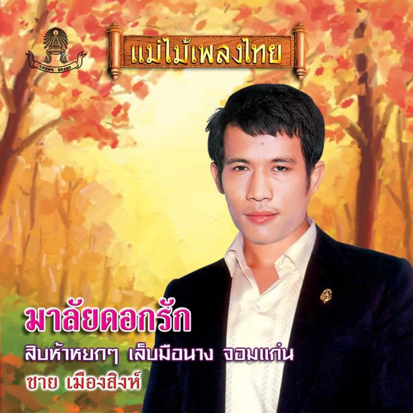 ชาย เมืองสิงห์ Brand Page