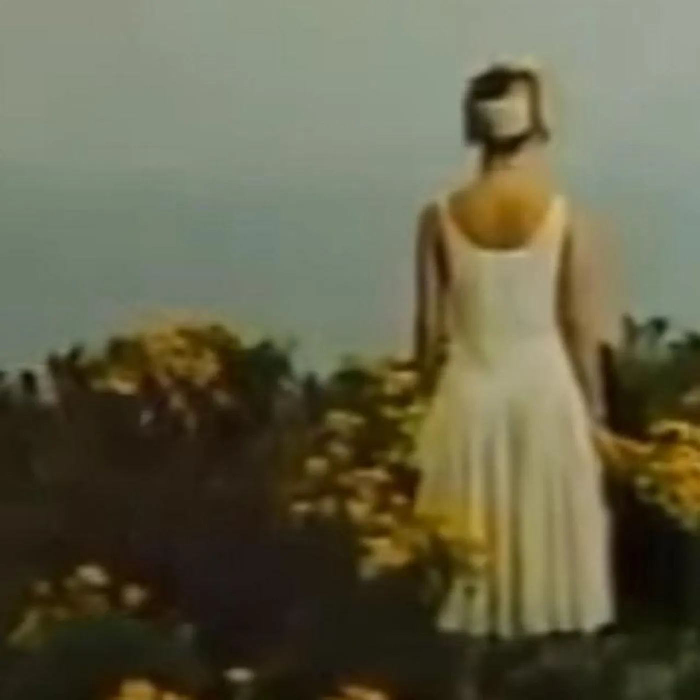 花畑