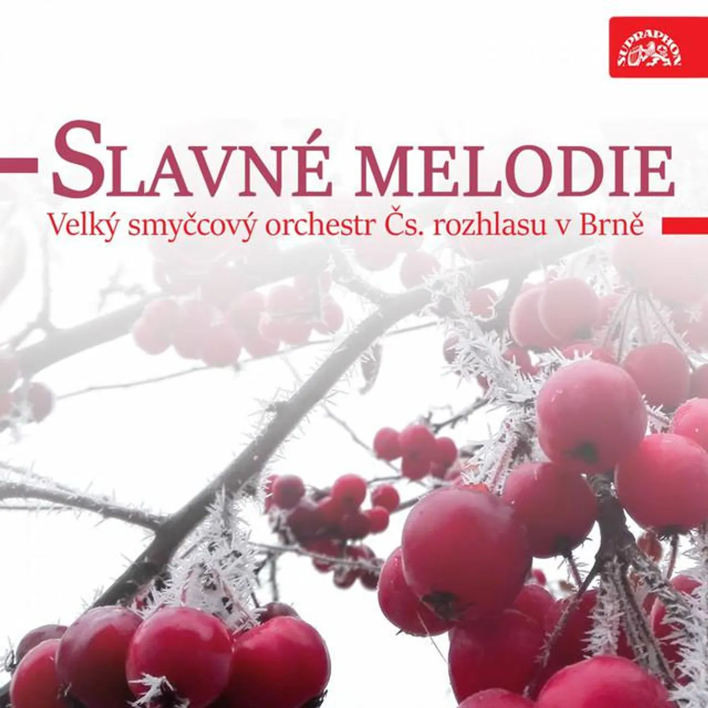 Velký smyčcový orchestr Čs. rozhlasu v Brně