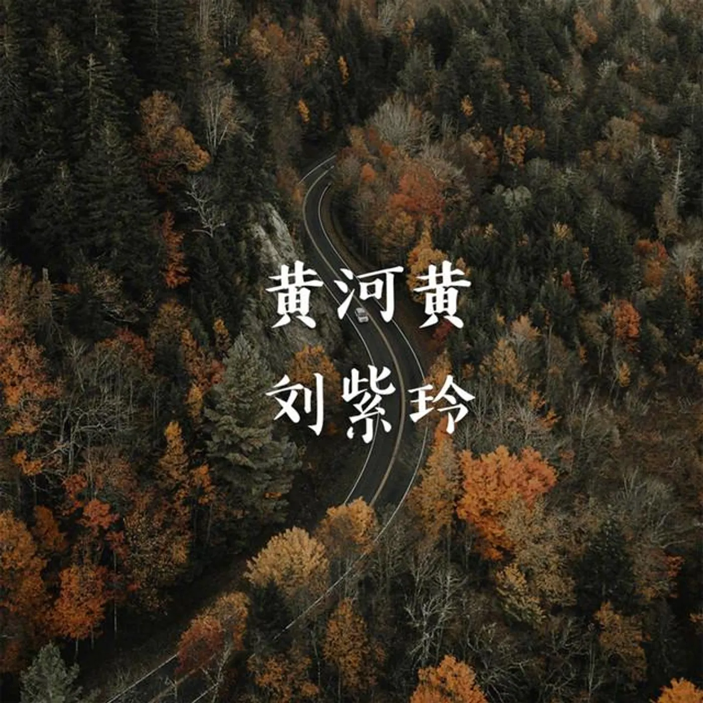 劉紫玲