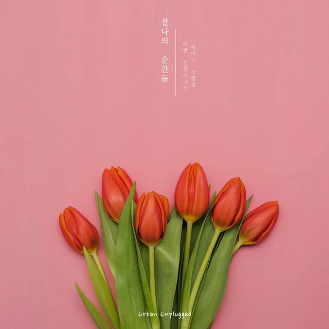 어반 언플러그드 Brand Page