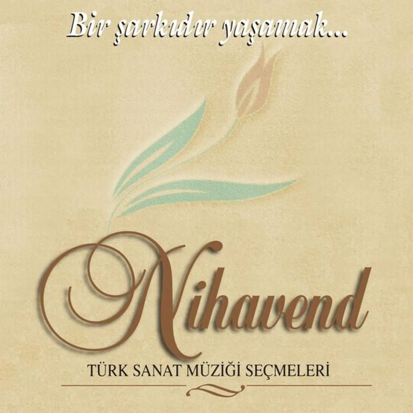 Bir Şarkıdır Yaşamak Grup