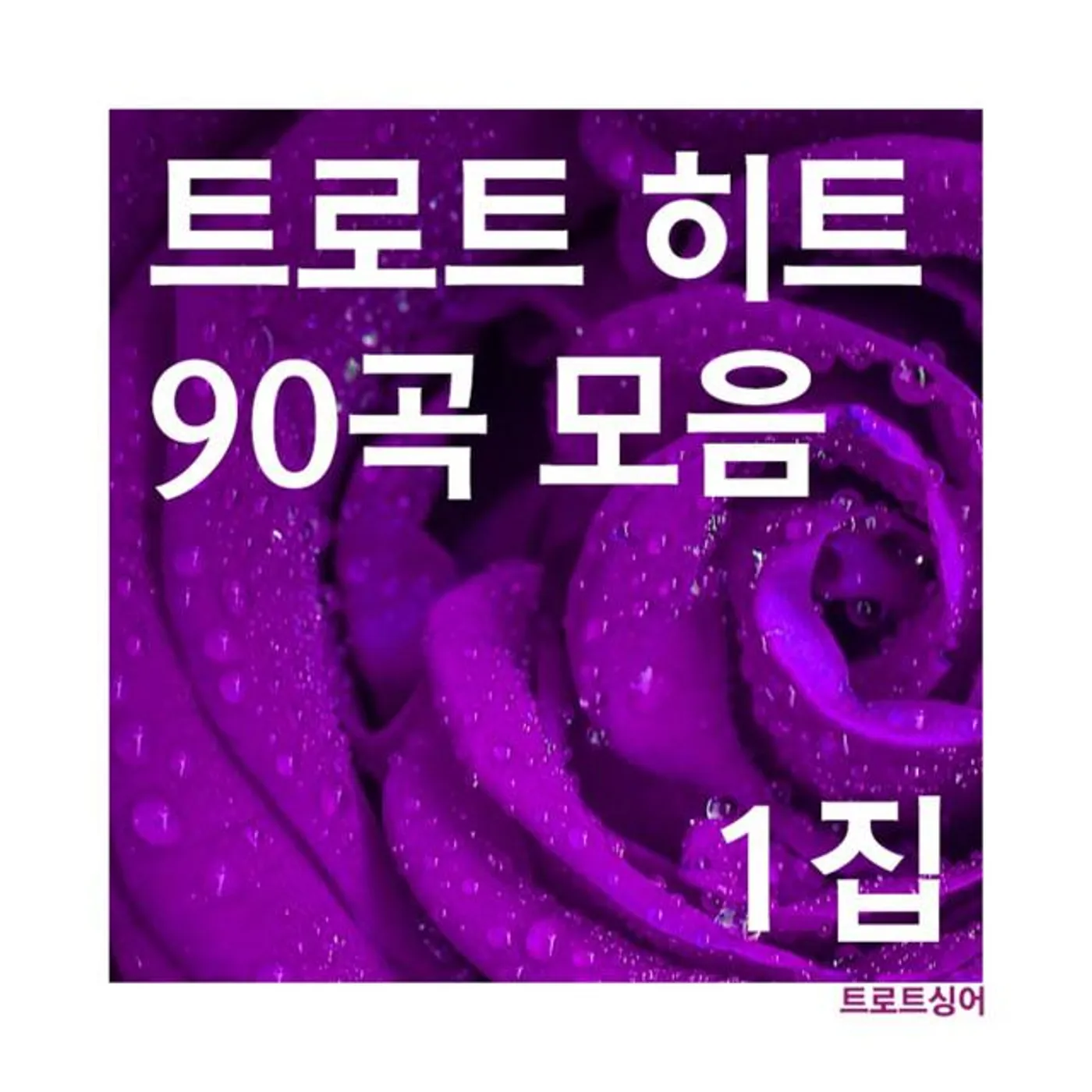 트로트싱어