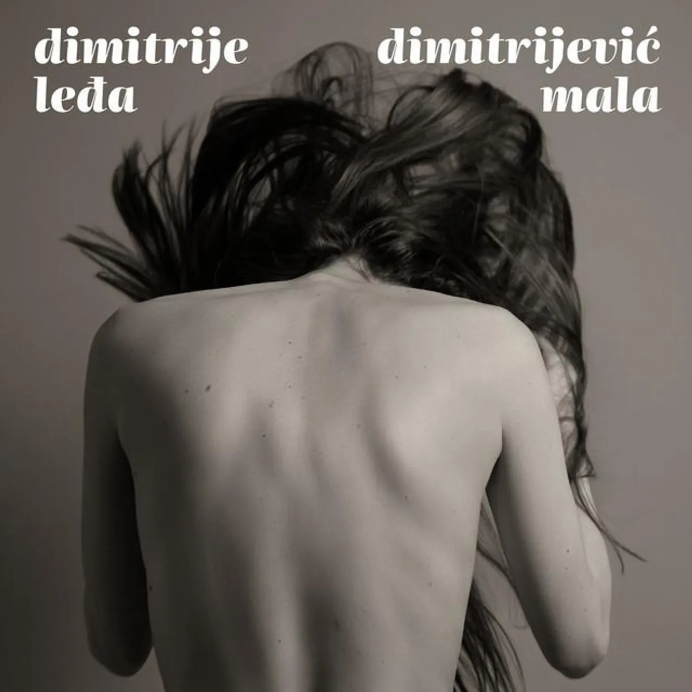 Dimitrije Dimitrijević Brand Page