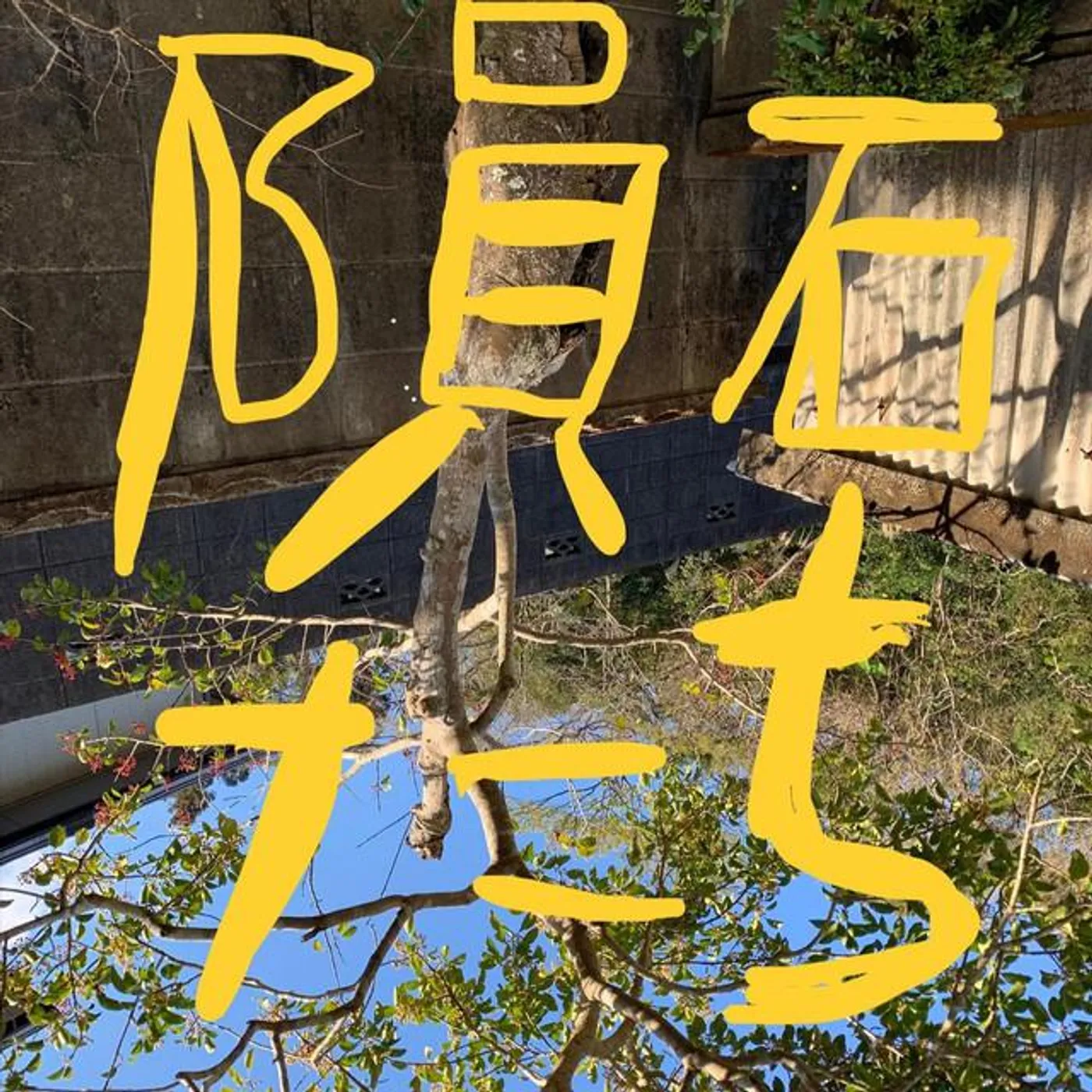 坂口恭平 Brand Page