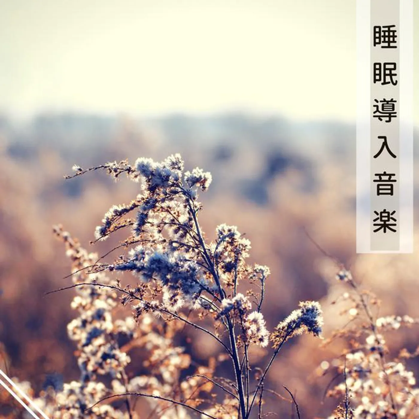 New Age 睡眠 Star