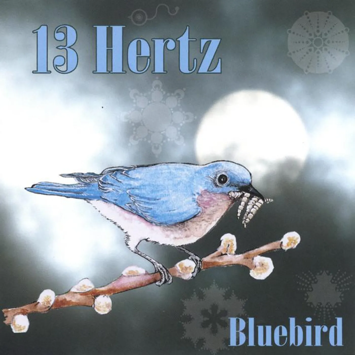 13 Hertz