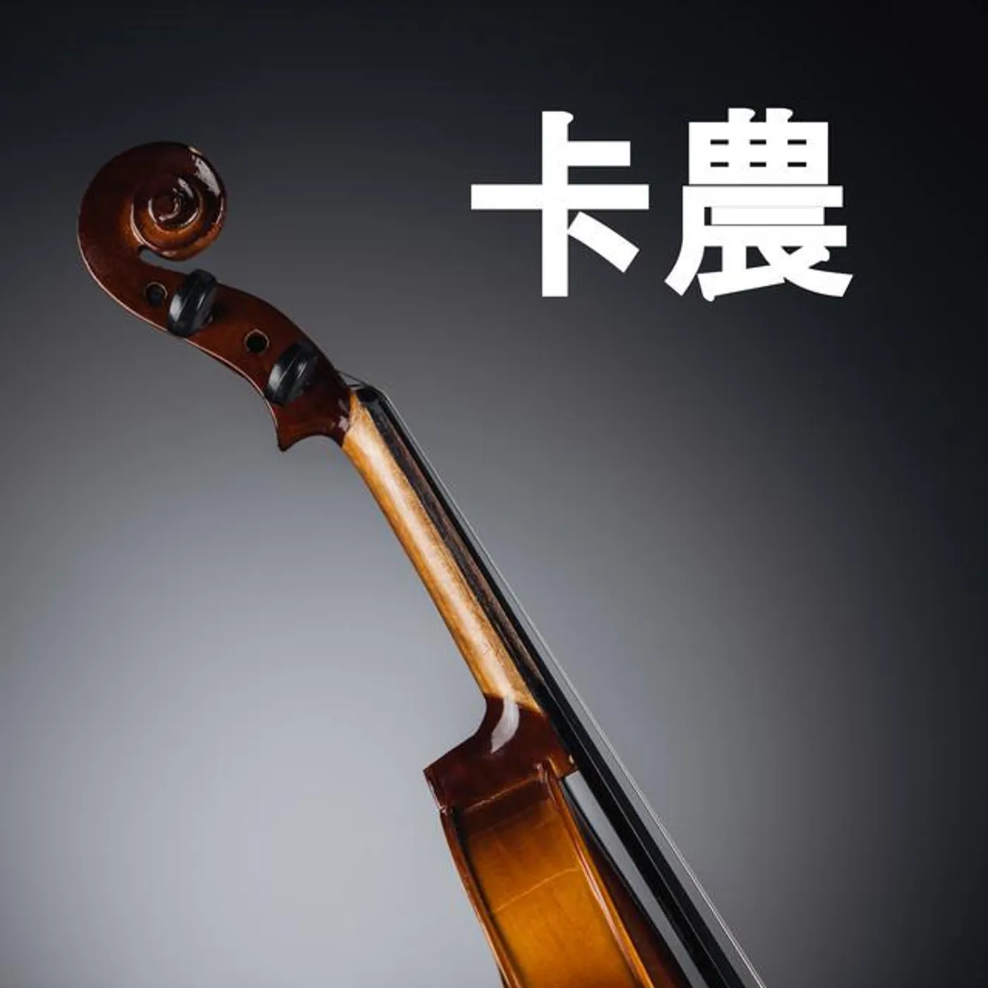 卡農