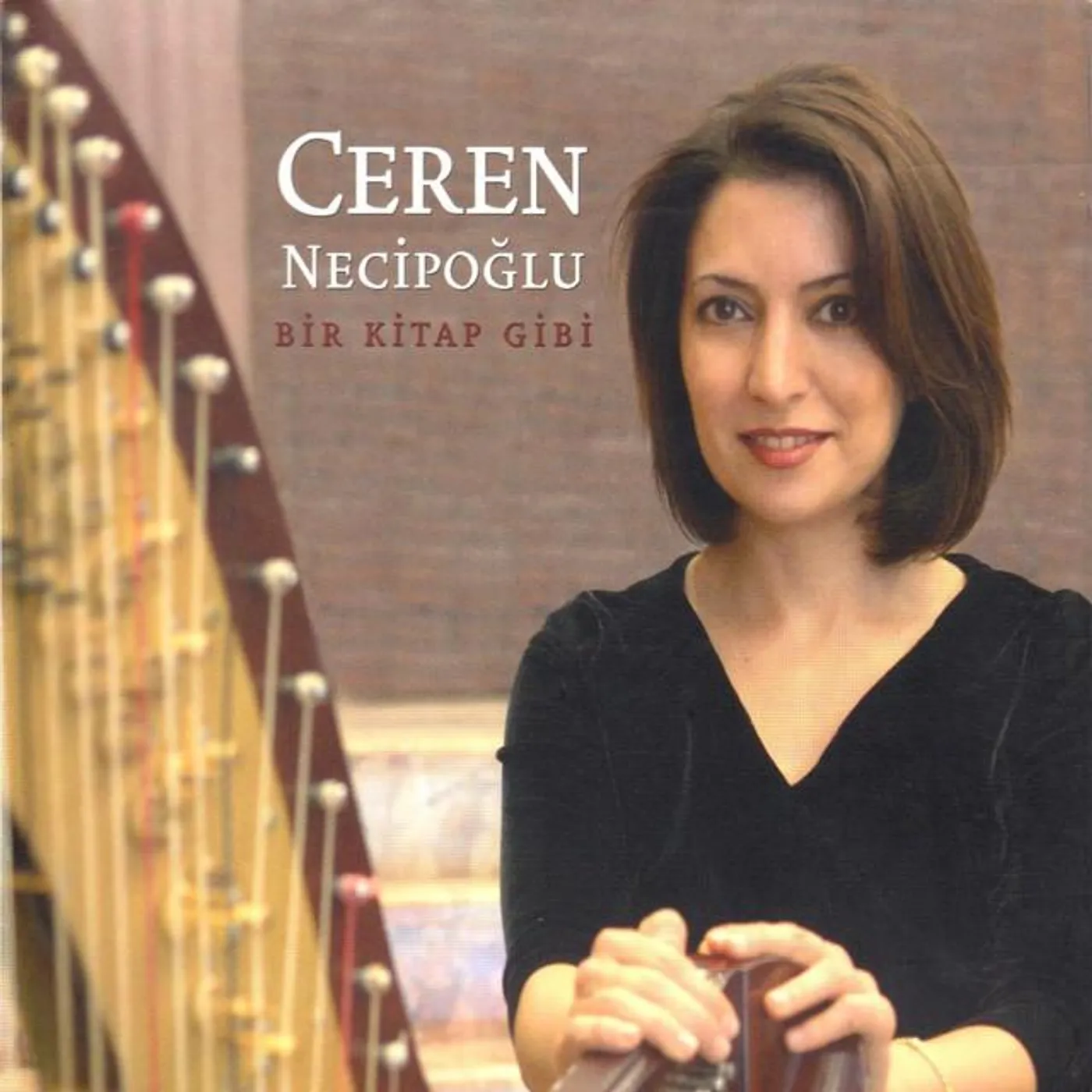 Ceren Necipoğlu