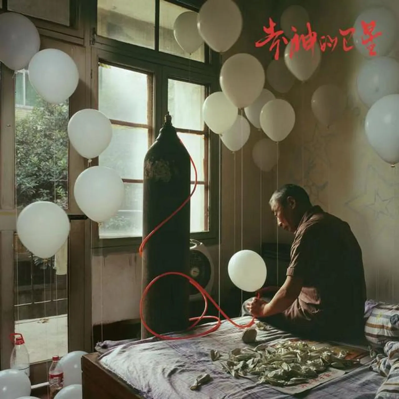 丟萊卡