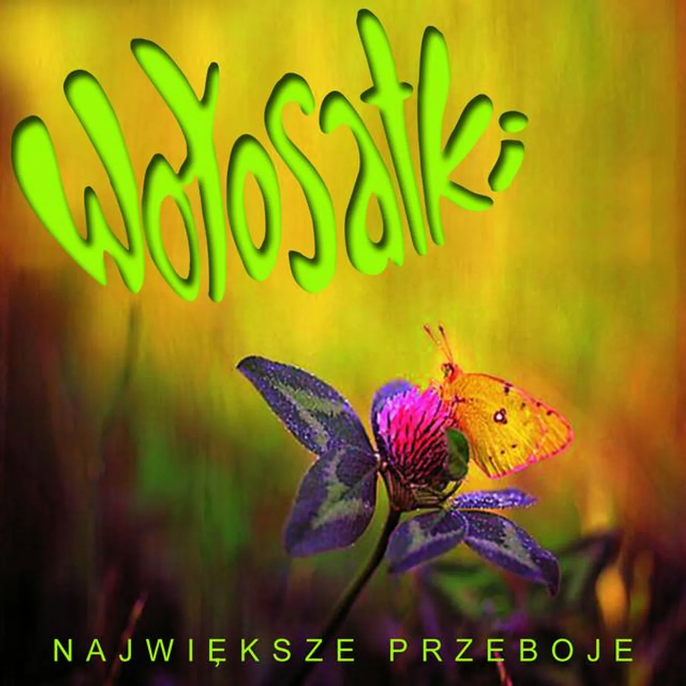 Wołosatki