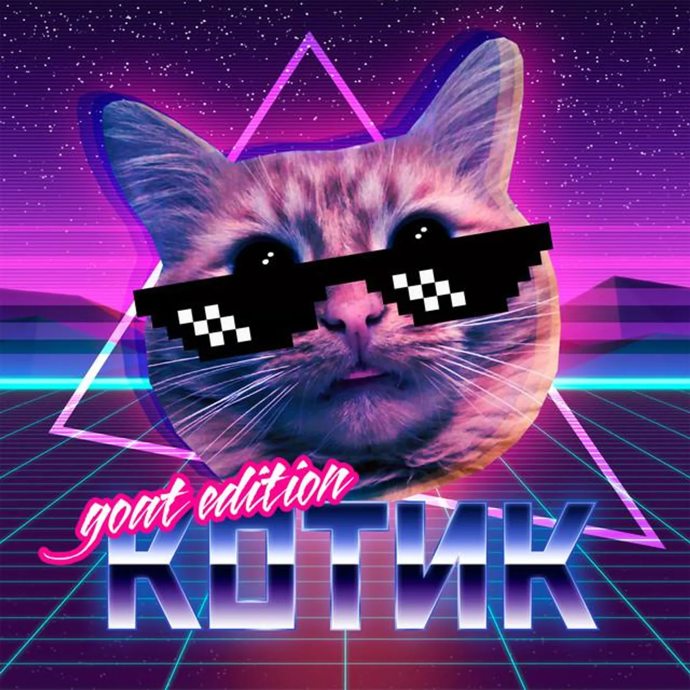 Котик