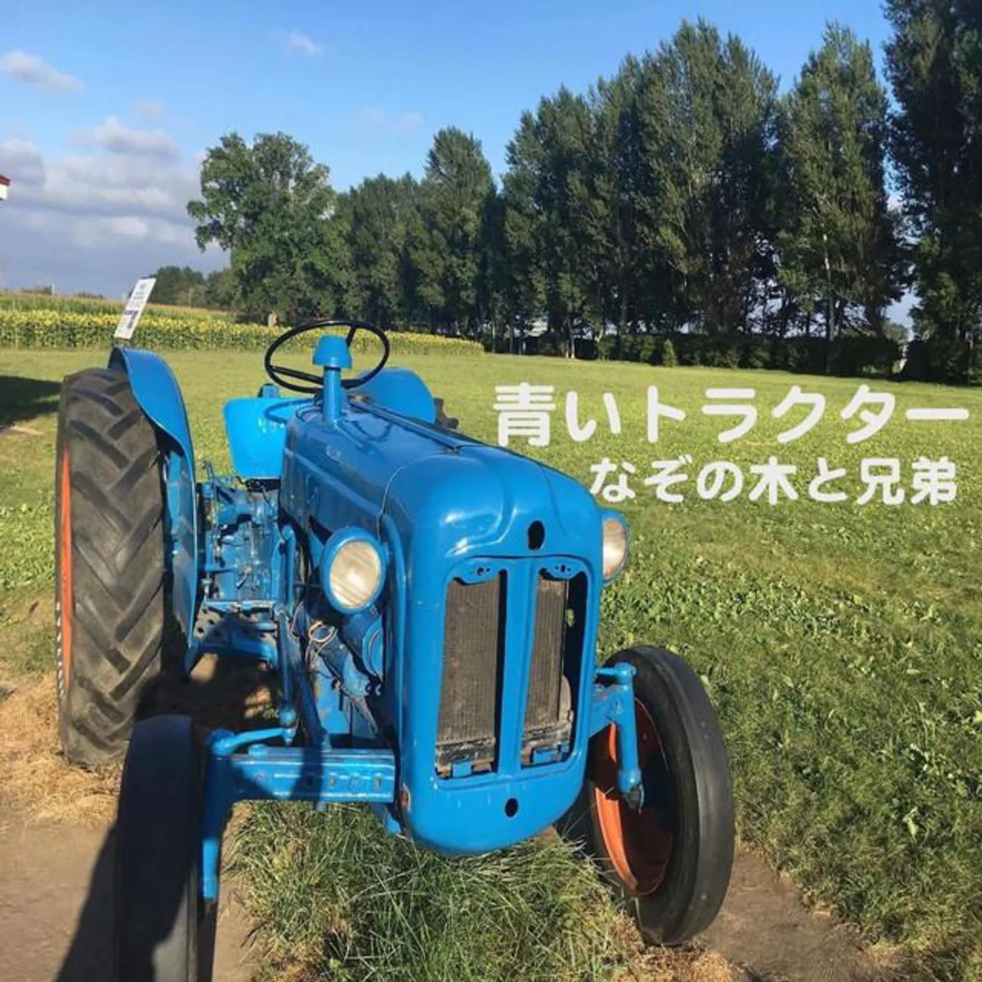 なぞの木と兄弟