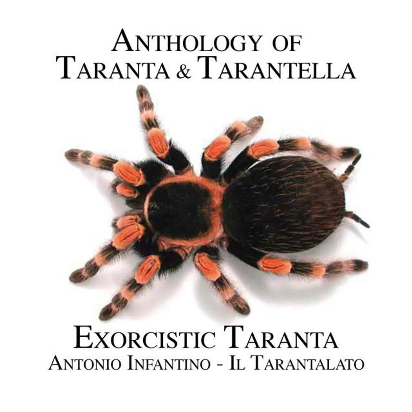 Antonio Infantino – Il Tarantalato Brand Page