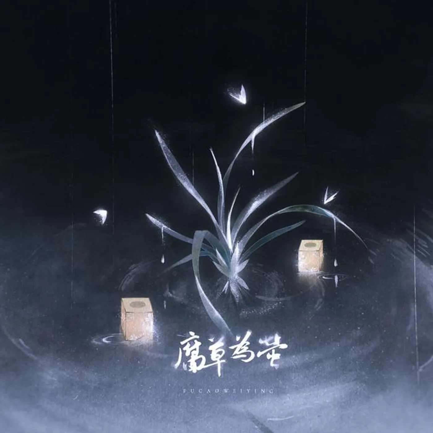 瑾姝Hikari
