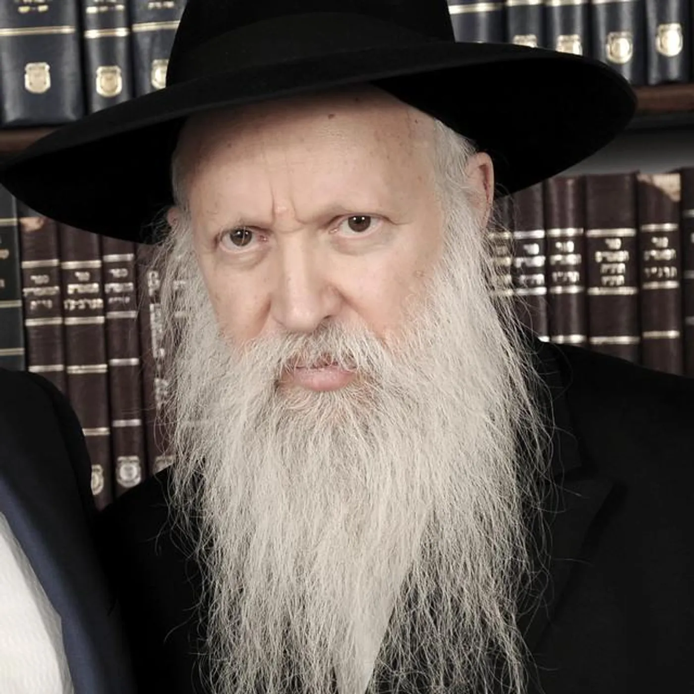 הרב יצחק גינזבורג Brand Page