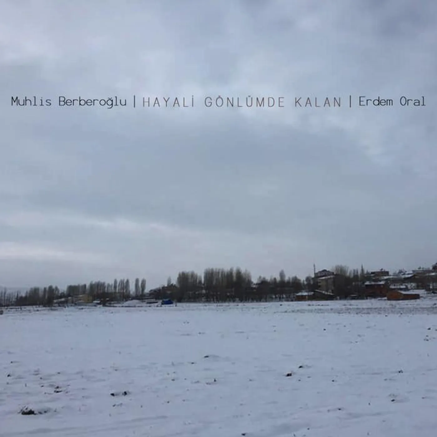 Muhlis Berberoğlu