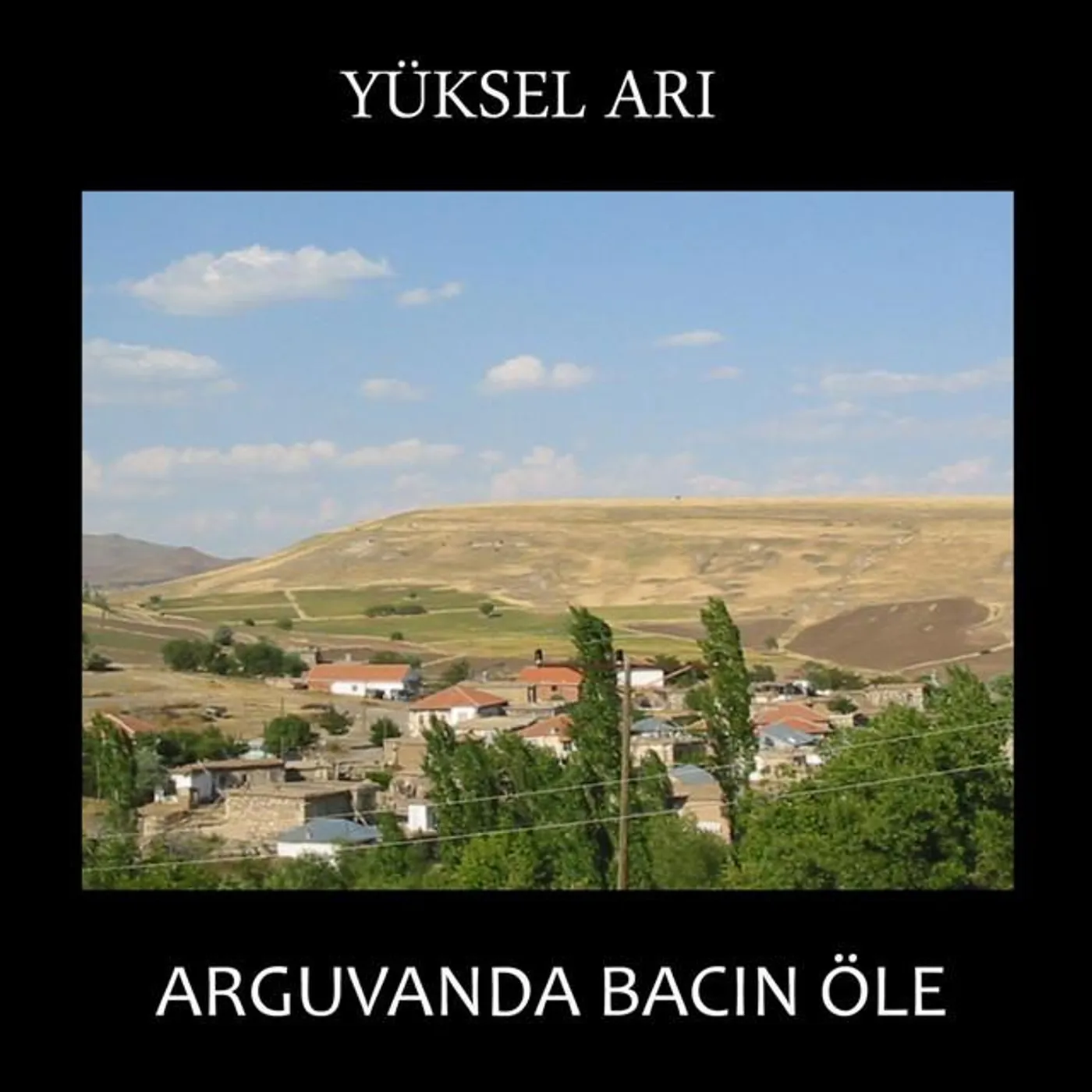 Yüksel Arı