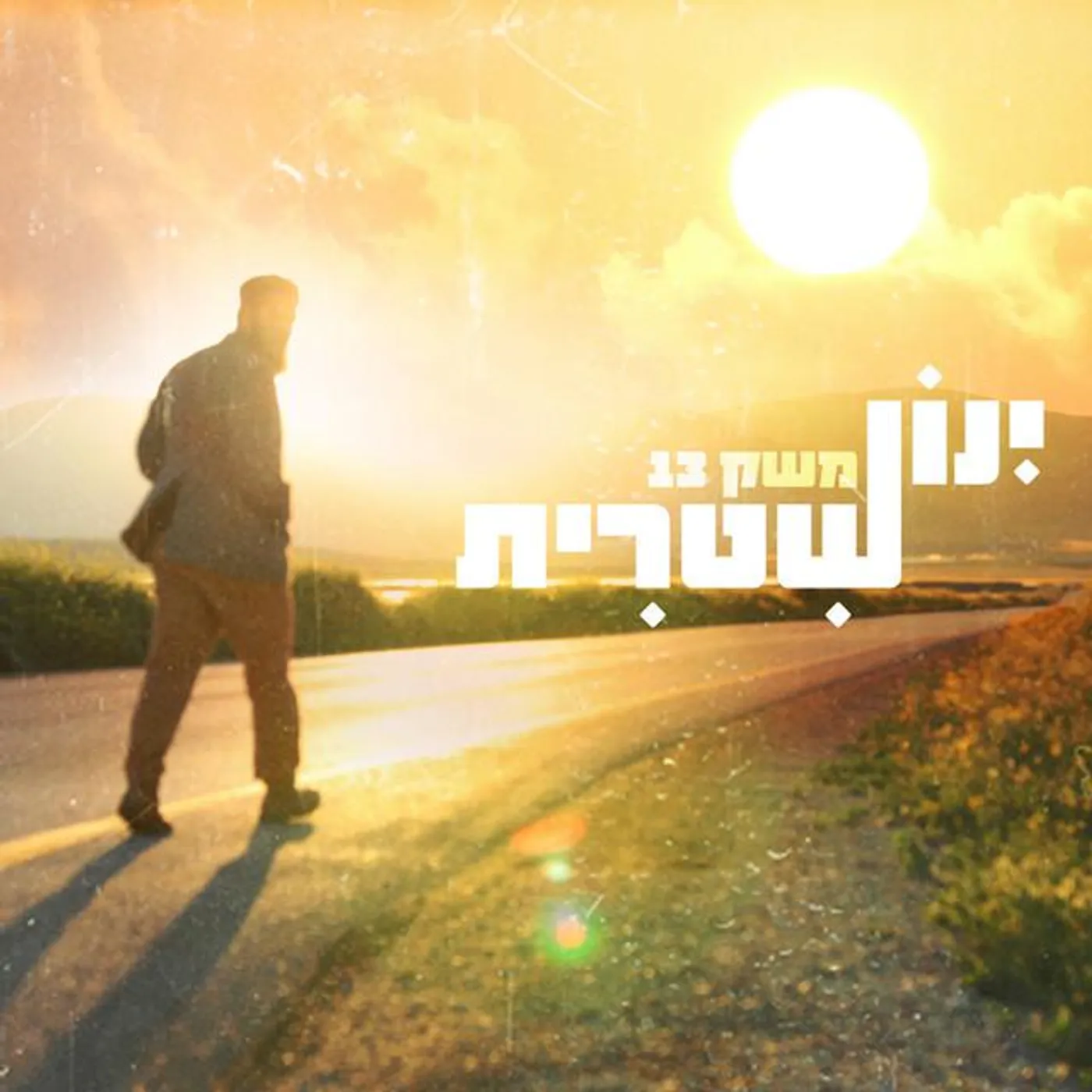 ינון שטרית