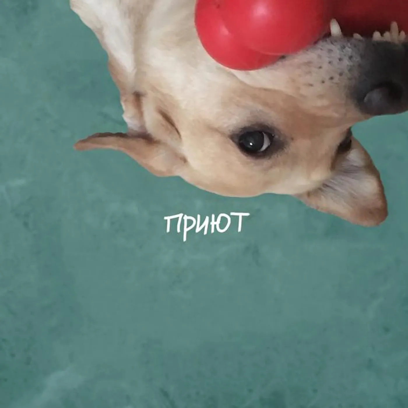 Мысбиваемспутники!