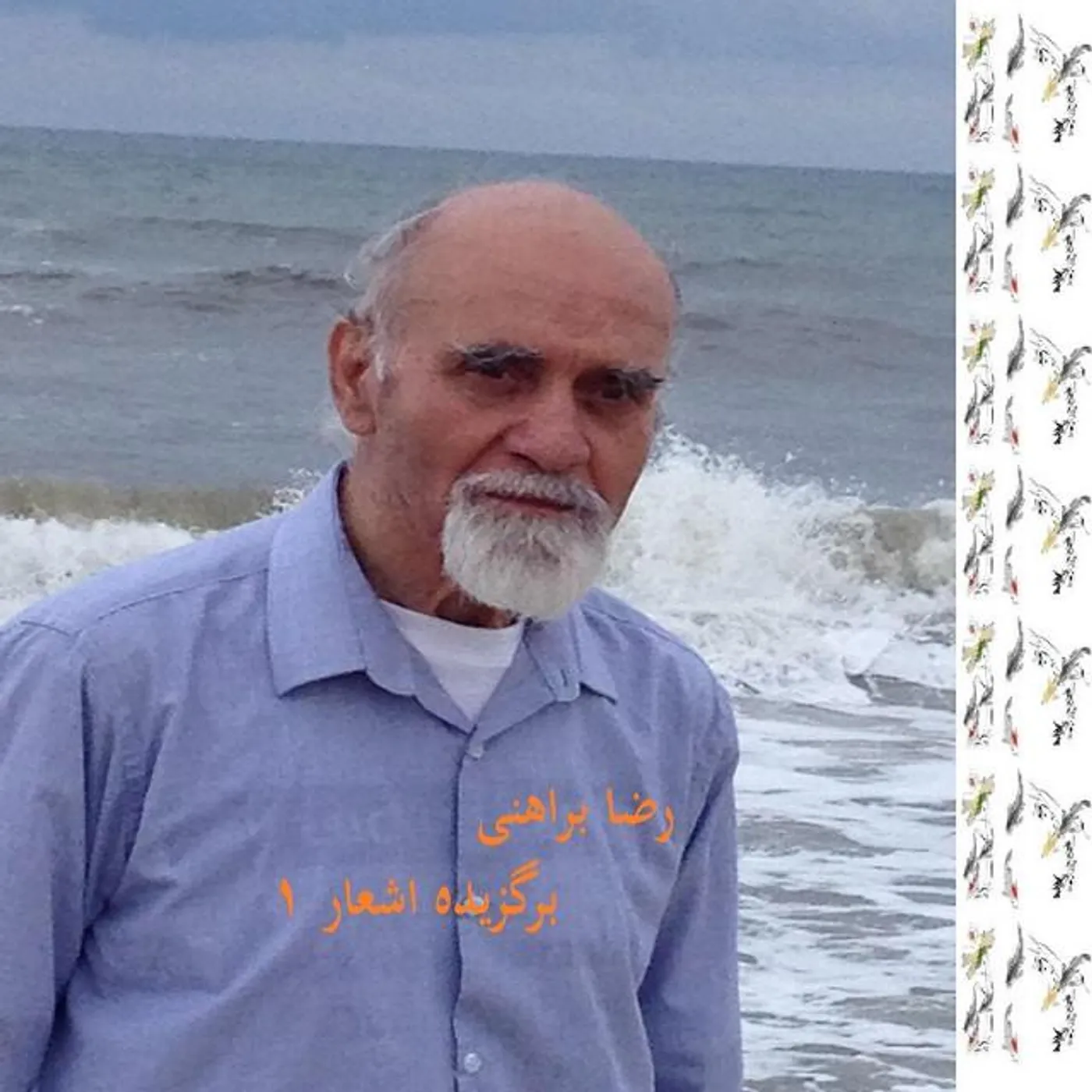 رضا براهنی