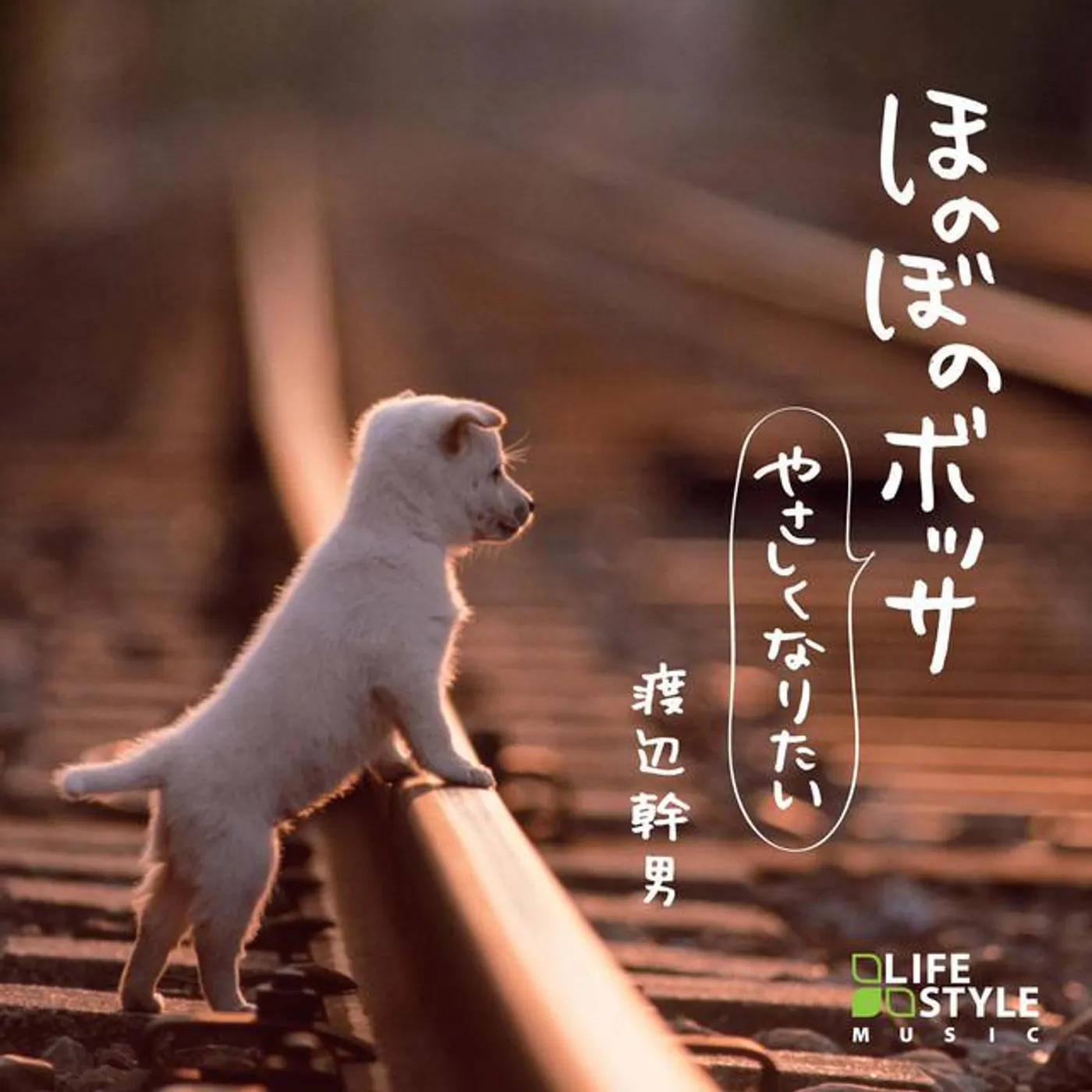渡辺幹男 Brand Page