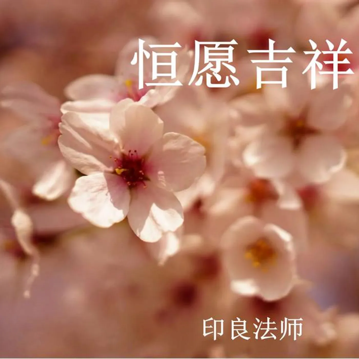 印良法师