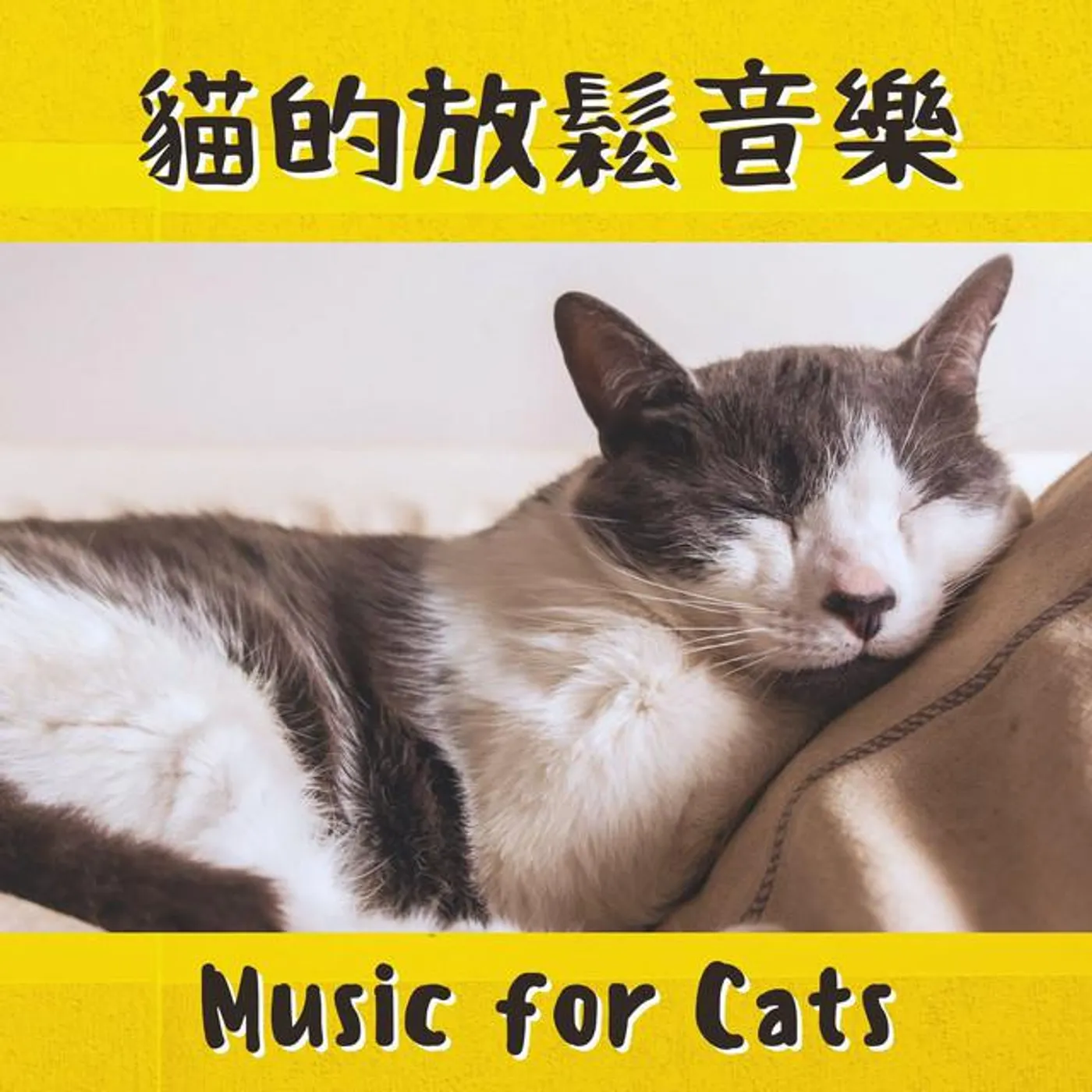 貓搖籃曲