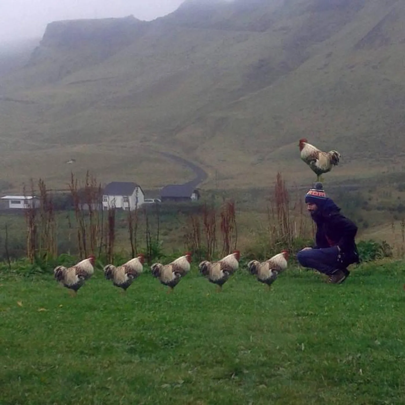 Făt Frumos Brand Page