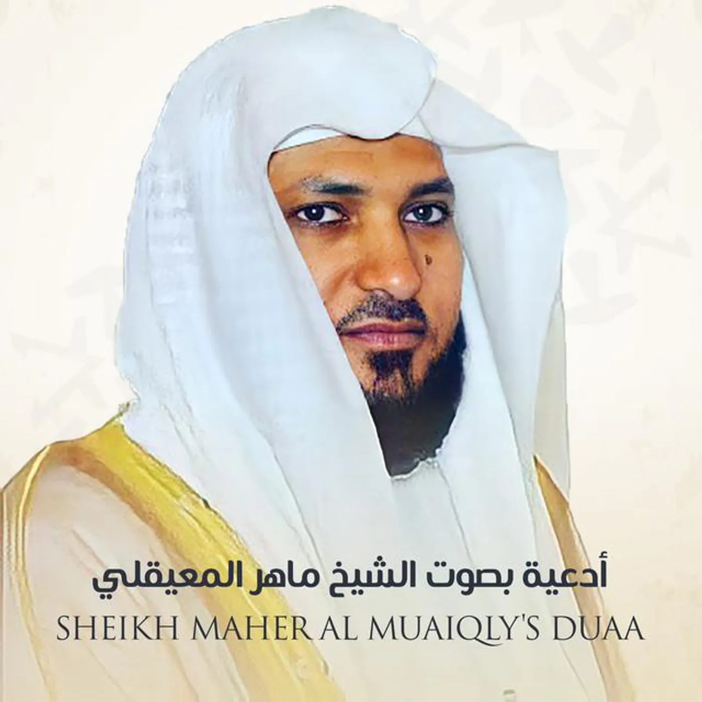 الشيخ ماهر المعيقلي