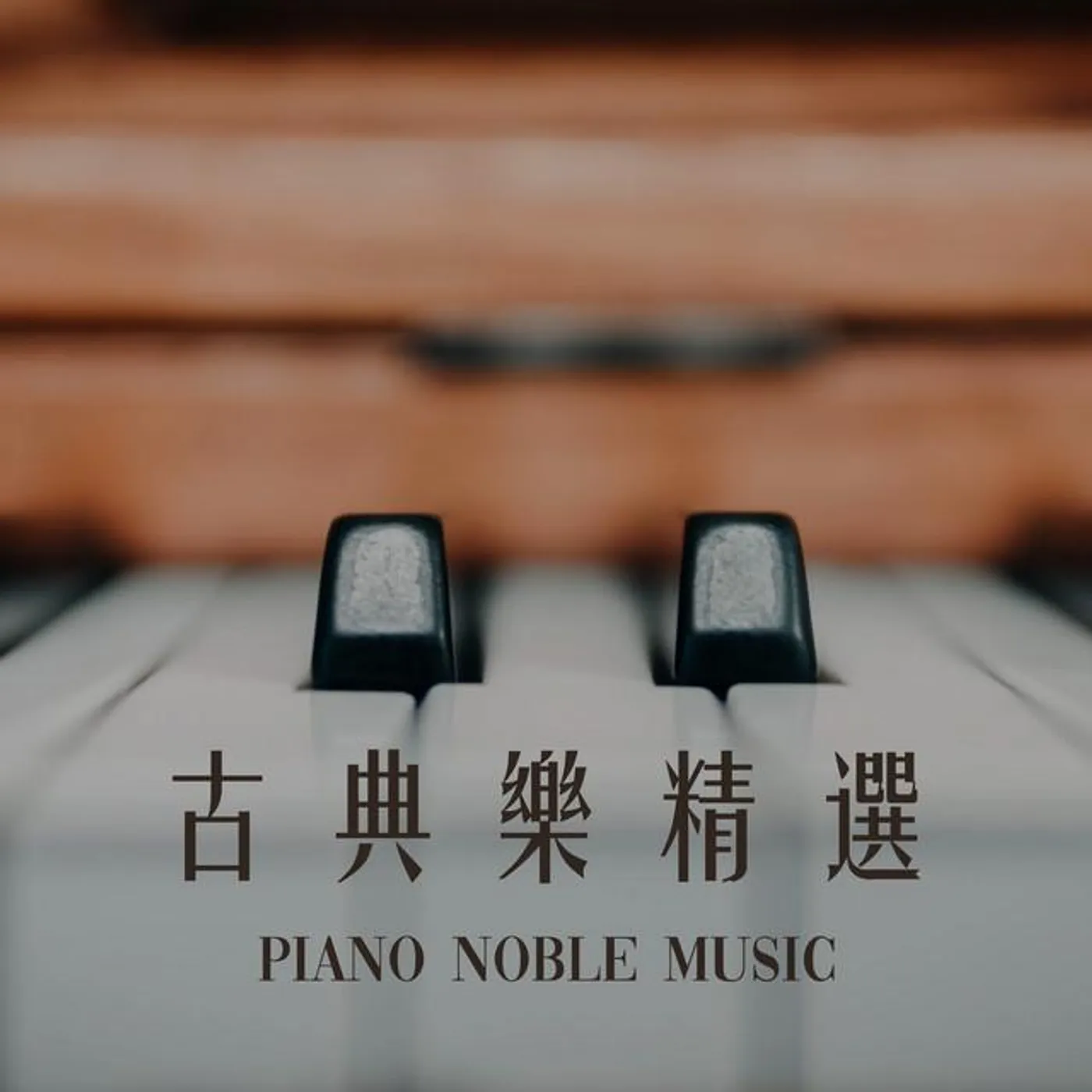 古典樂精選 鋼琴貴族音樂