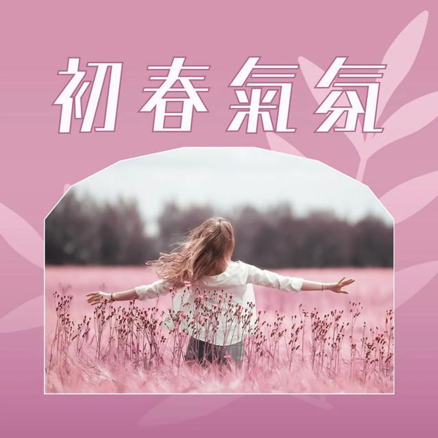 輕音樂