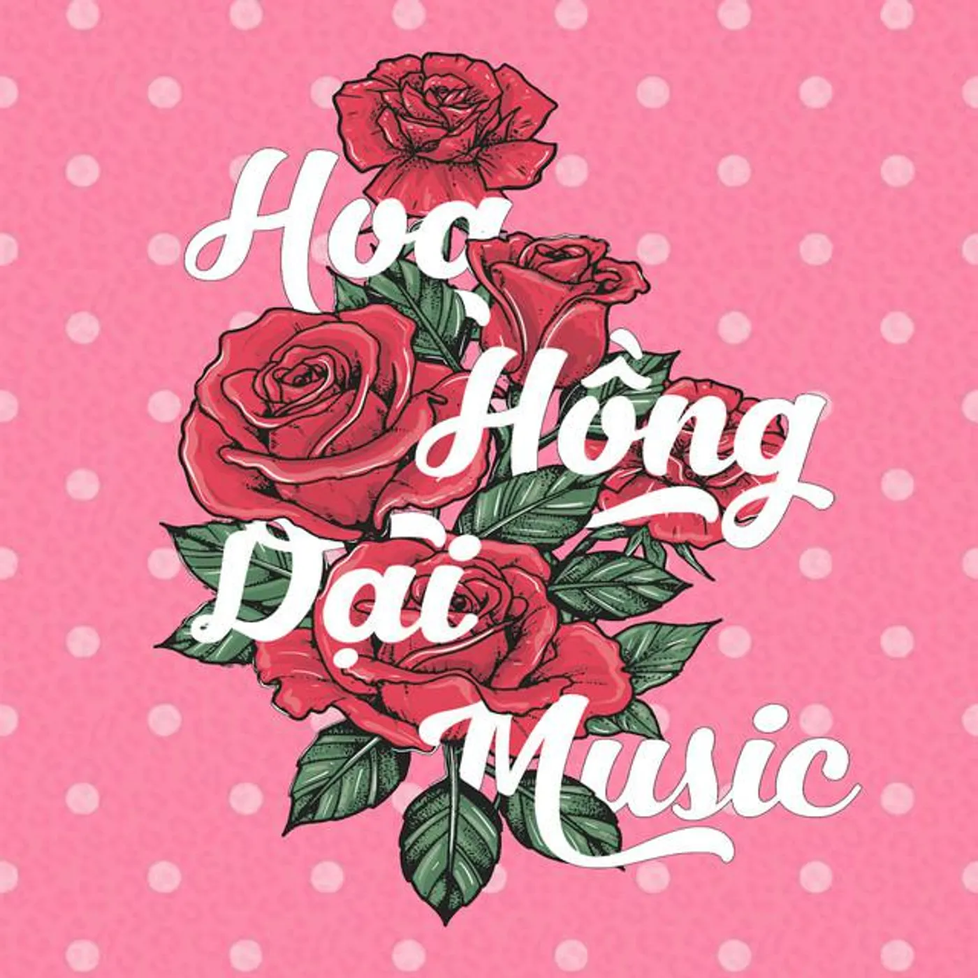 HOA HỒNG DẠI MUSIC