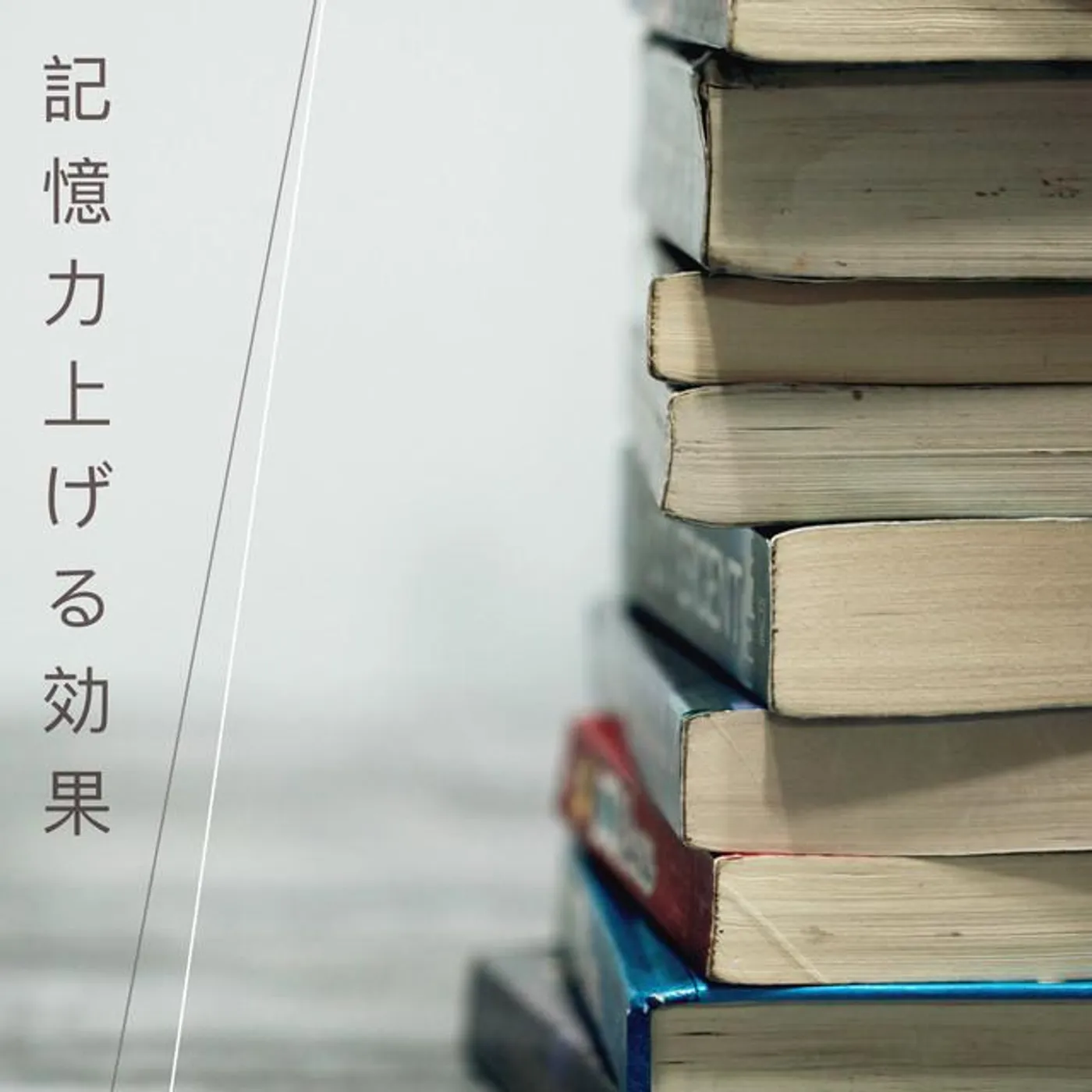 読書用 Maestro