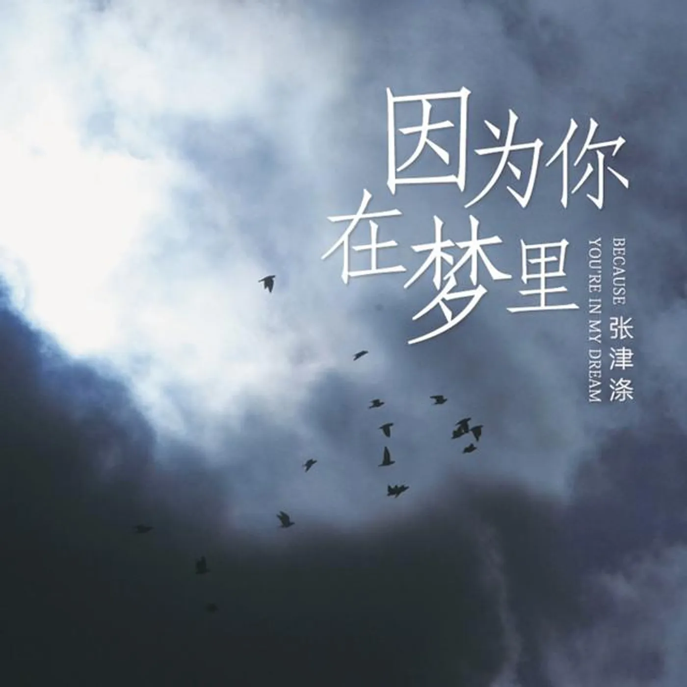 張津滌