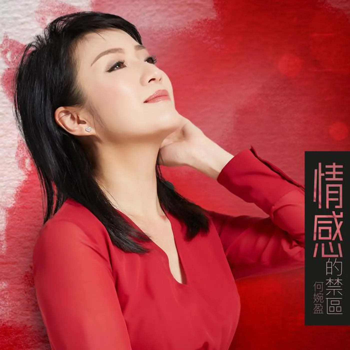 何婉盈