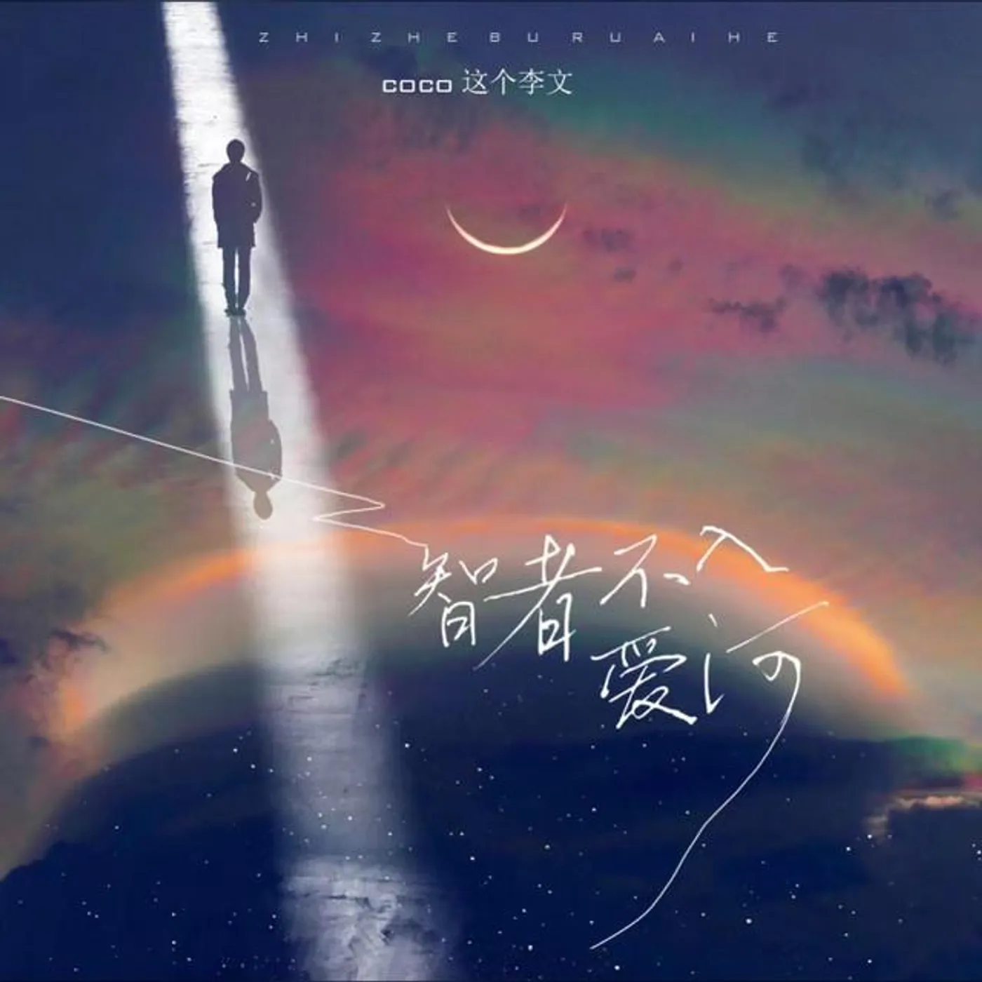 coco这个李文