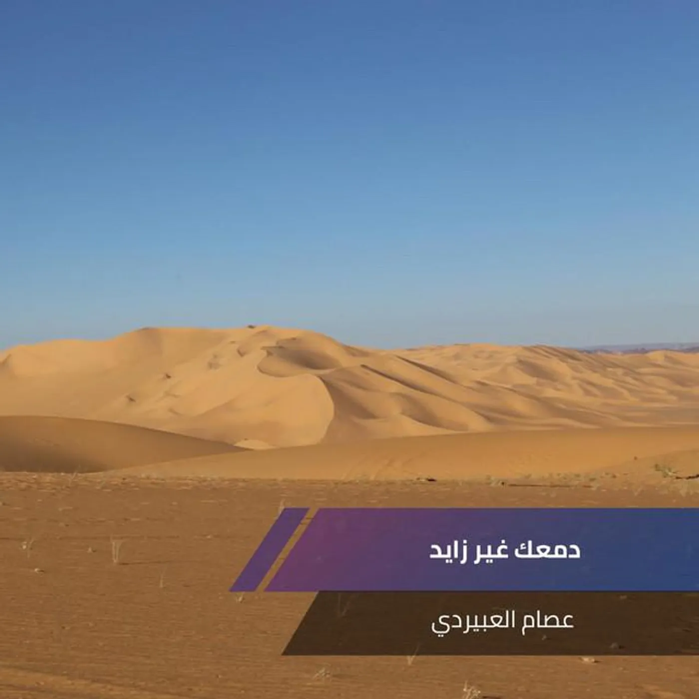 عصام العبيردي