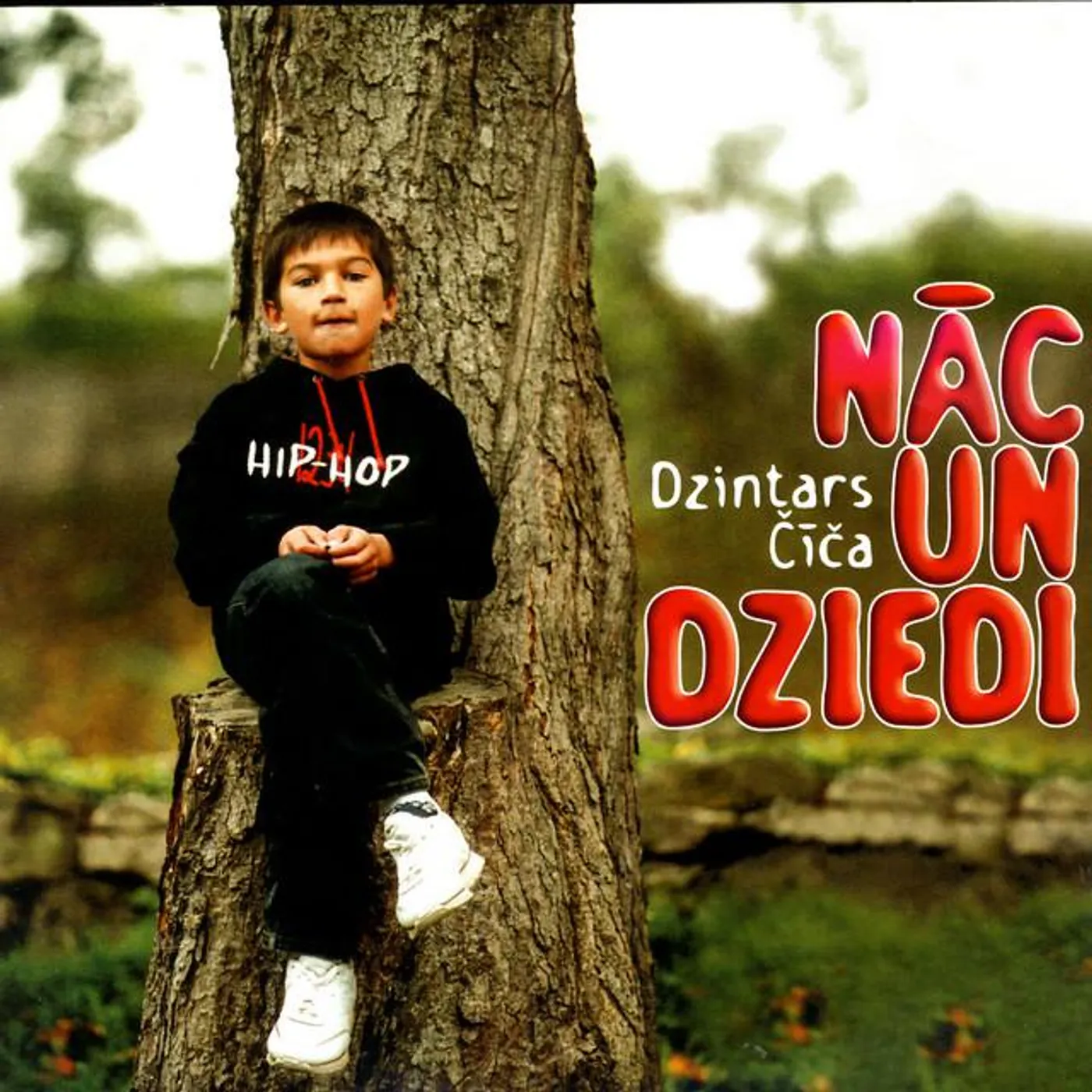 Dzintars Čīča