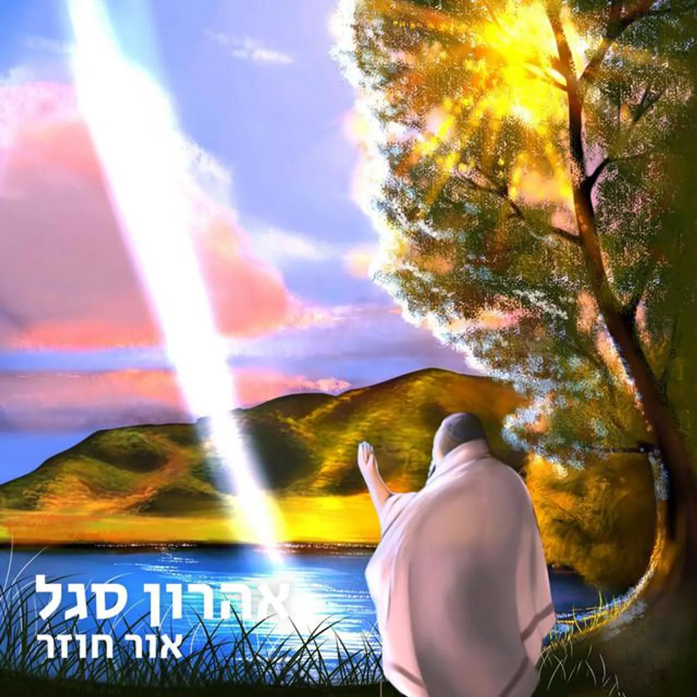 אהרון סגל Brand Page