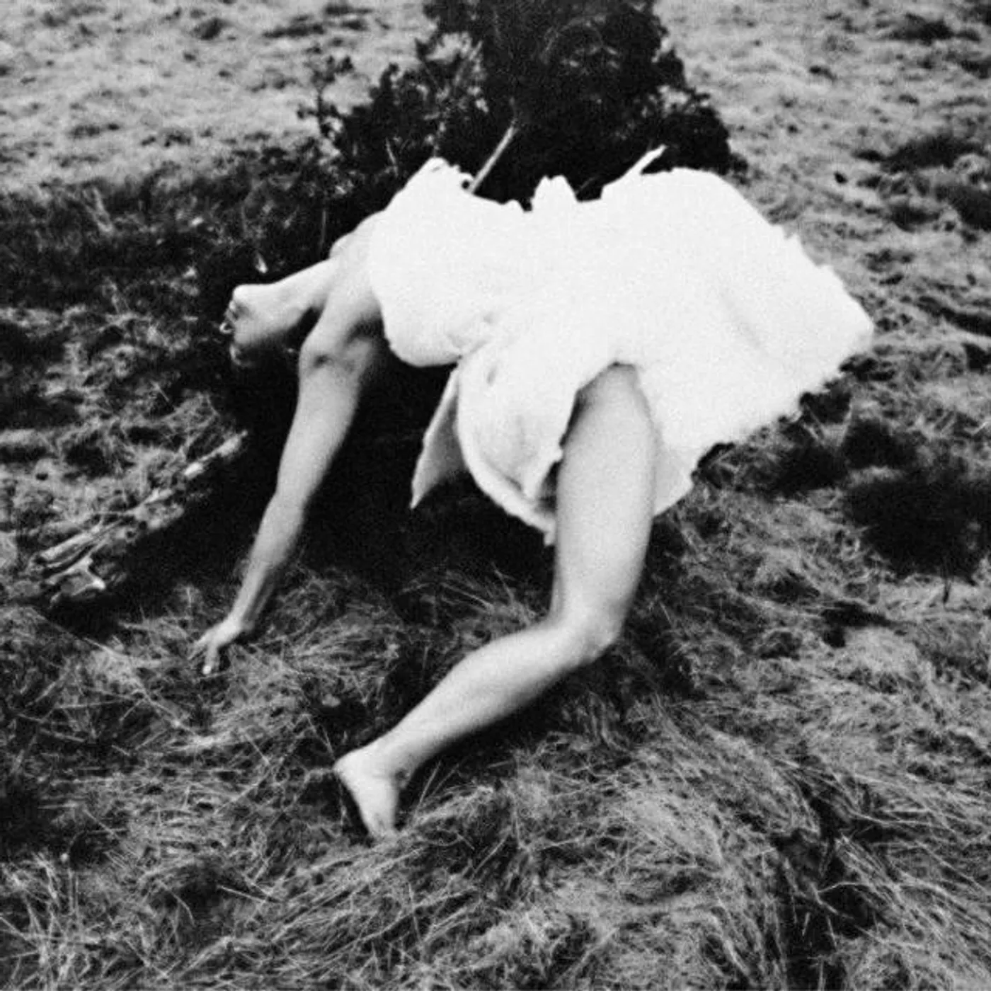 丹娜樂團 Brand Page